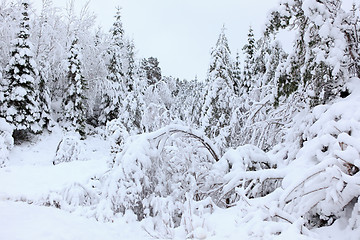 Image showing Winter in Norway