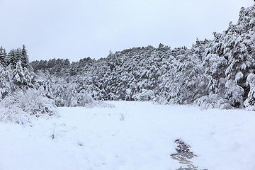 Image showing Winter in Norway