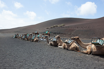 Image showing Some place in Lanzarote