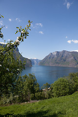 Image showing Somewhere in Norway