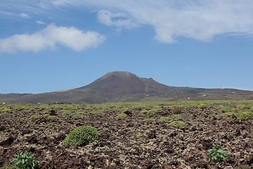 Image showing Some place in Lanzarote