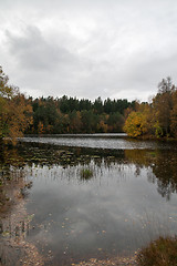 Image showing Autumn in the forest