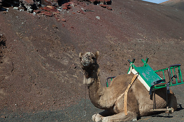 Image showing Some place in Lanzarote