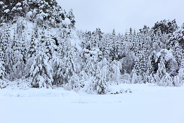 Image showing Winter in Norway