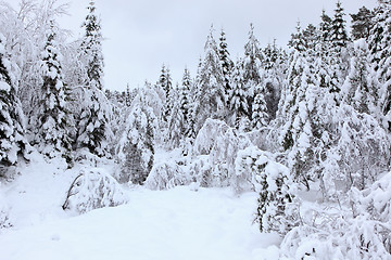 Image showing Winter in Norway