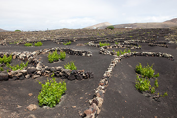 Image showing Some place in Lanzarote