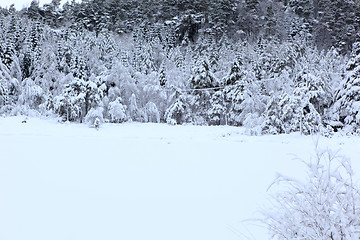 Image showing Winter in Norway