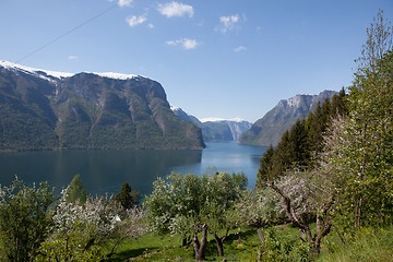 Image showing Somewhere in Norway