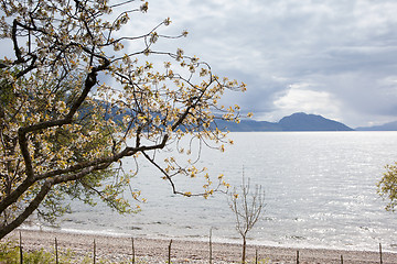 Image showing Norwegian landscape