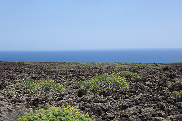 Image showing Some place in Lanzarote