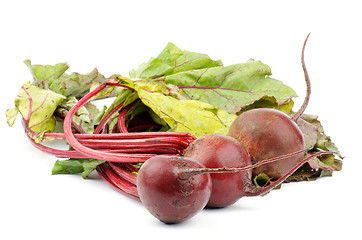 Image showing Beetroot