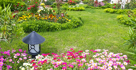 Image showing Blossoming  flower beds