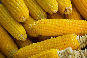 Image showing Boiled corn cobs in the Eastern market