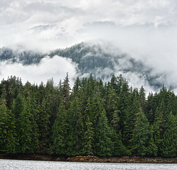 Image showing Mist On The Mountains