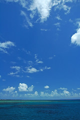 Image showing coral reef