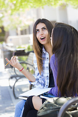 Image showing Expressive Young Mixed Race Female Sitting and Talking with Girl