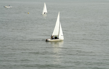 Image showing Sailboats