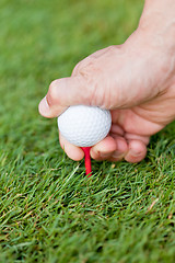 Image showing golf ball and iron on green grass detail macro summer outdoor