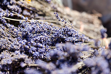 Image showing fresh aromatic lavender in basket macro outdoor