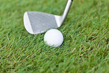 Image showing golf ball and iron on green grass detail macro summer outdoor