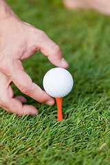 Image showing golf ball and iron on green grass detail macro summer outdoor