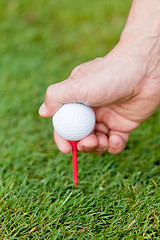 Image showing golf ball and iron on green grass detail macro summer outdoor