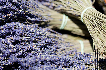 Image showing fresh aromatic lavender in basket macro outdoor