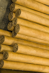 Image showing hand rolled cigars