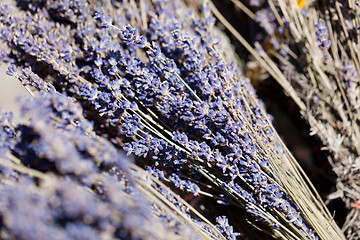 Image showing fresh aromatic lavender in basket macro outdoor