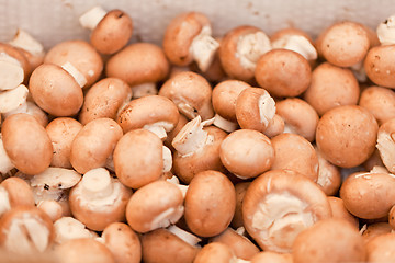 Image showing fresh brown champignons on market outdoor