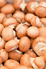 Image showing fresh brown champignons on market outdoor