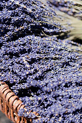 Image showing fresh aromatic lavender in basket macro outdoor