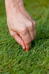 Image showing golf ball and iron on green grass detail macro summer outdoor