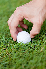 Image showing golf ball and iron on green grass detail macro summer outdoor