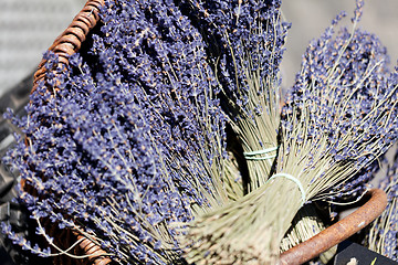 Image showing fresh aromatic lavender in basket macro outdoor