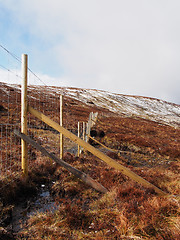 Image showing Deer fence, Scotland Highlands in spring