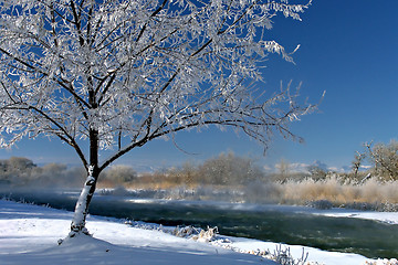 Image showing winter beauty