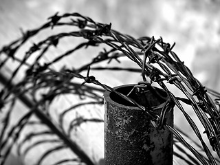 Image showing barbed wire