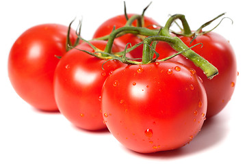 Image showing Ripe tomato with water drops