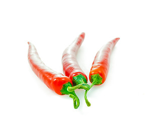 Image showing Red chili pepper