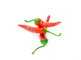 Image showing Red chili pepper