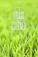 Image showing Grass is Always Greener Quote