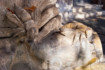 Image showing Fontana delle Api