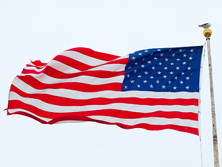 Image showing American flag