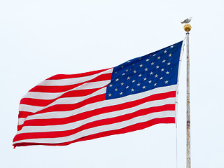 Image showing American flag