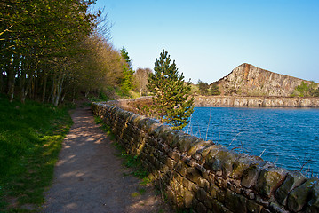 Image showing cawfields