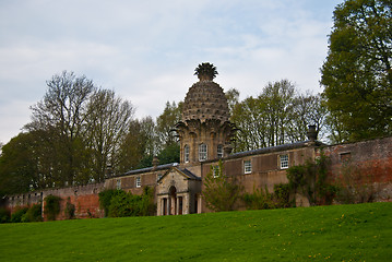 Image showing Dunmore Pineapple