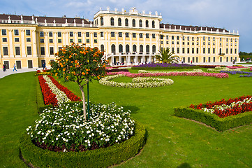 Image showing Schoenbrunn