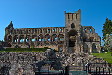 Image showing Jedburgh Abbey