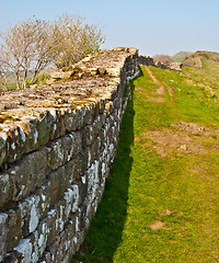 Image showing Hadrian's wall